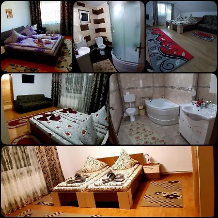 Guest house Pensiunea Adriana Vadu Izei