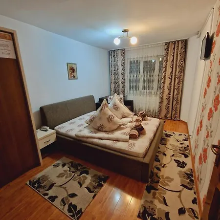 Guest house Pensiunea Adriana 3*