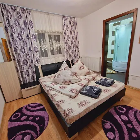 Guest house Pensiunea Adriana Vadu Izei