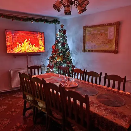 Pensiunea Adriana Guest house Vadu Izei
