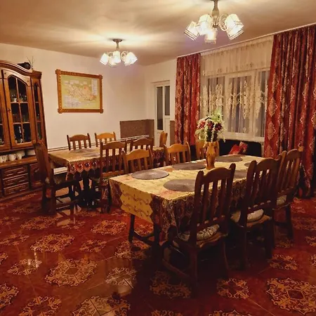 Guest house Pensiunea Adriana Vadu Izei