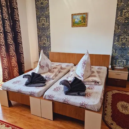 Pensiunea Adriana Guest house Vadu Izei