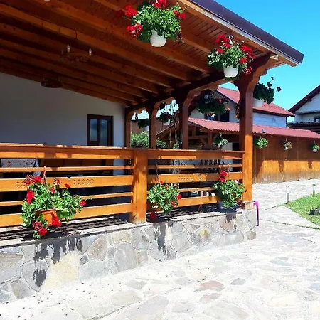 Guest house Pensiunea Adriana Vadu Izei