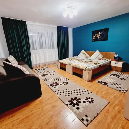 Guest house Pensiunea Adriana