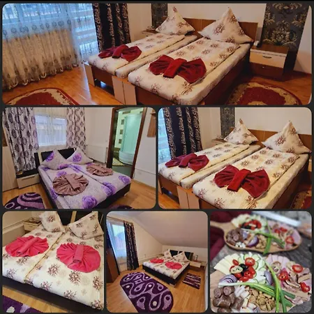 Guest house Pensiunea Adriana Vadu Izei