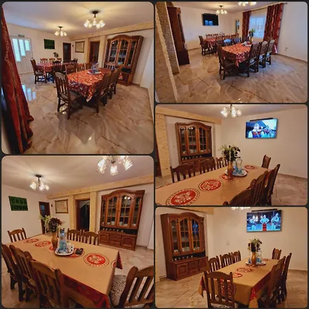 Pensiunea Adriana Guest house Vadu Izei