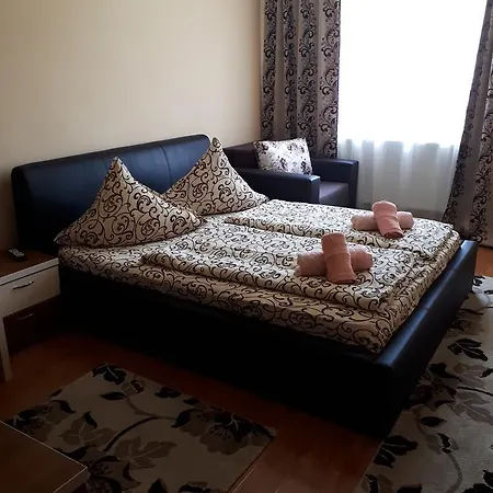 Pensiunea Adriana Pensjonat