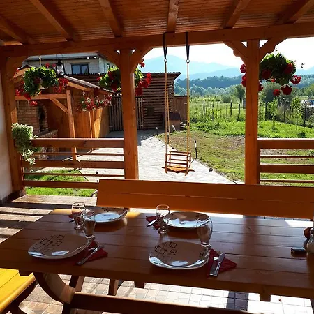 Pensiunea Adriana Guest house