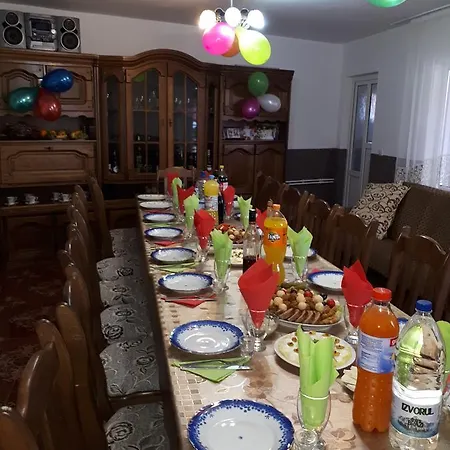 Guest house Pensiunea Adriana