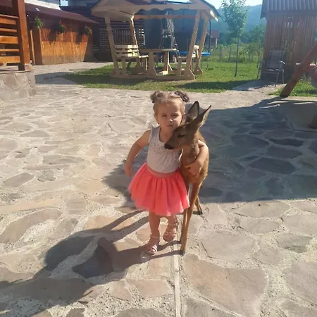 Pensjonat Pensiunea Adriana