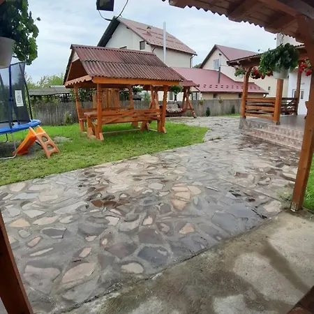 Guest house Pensiunea Adriana 3*