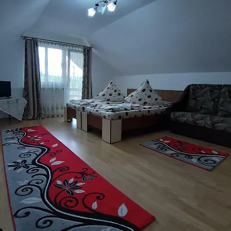 Pensiunea Adriana 3*