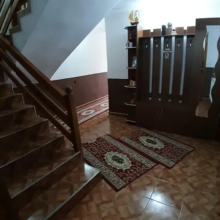 Guest house Pensiunea Adriana Vadu Izei