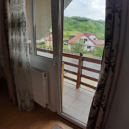 Pensiunea Adriana Guest house Vadu Izei