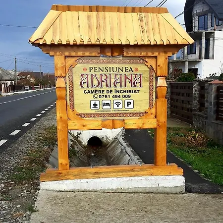 Pensiunea Adriana Guest house Vadu Izei