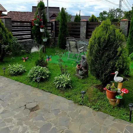 Guest house Pensiunea Adriana Vadu Izei