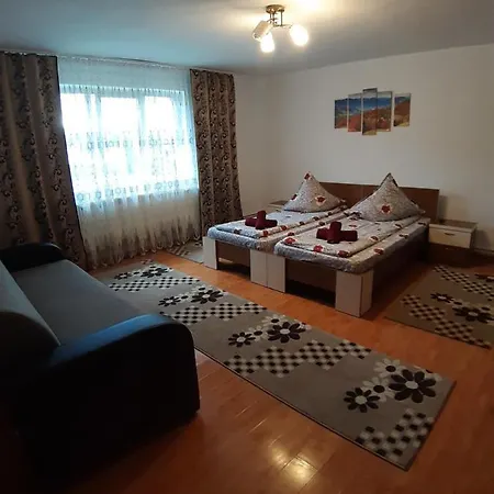 Pensiunea Adriana Guest house